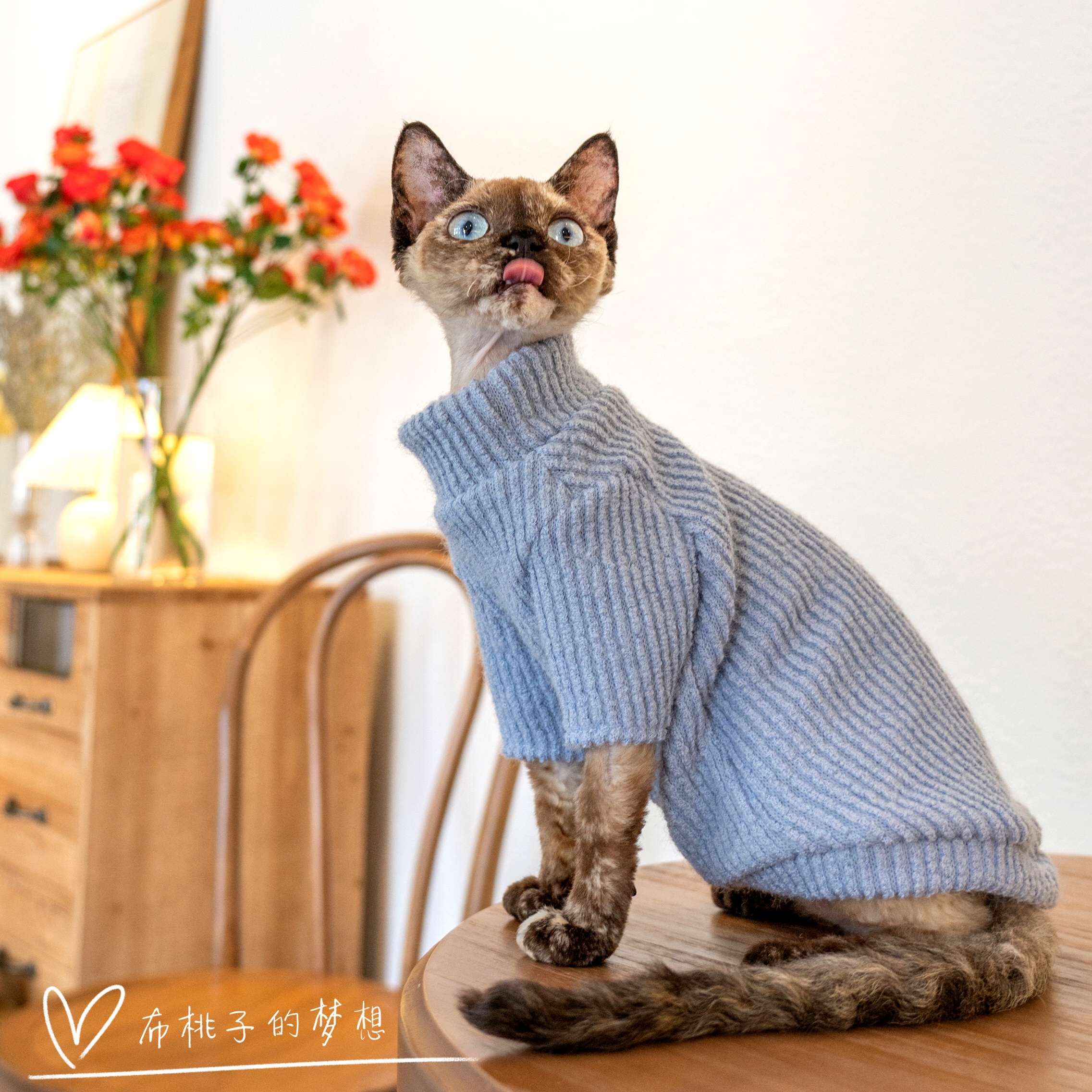 猫服  スフィンクス | スフィンクス用あったかリブニットセーター