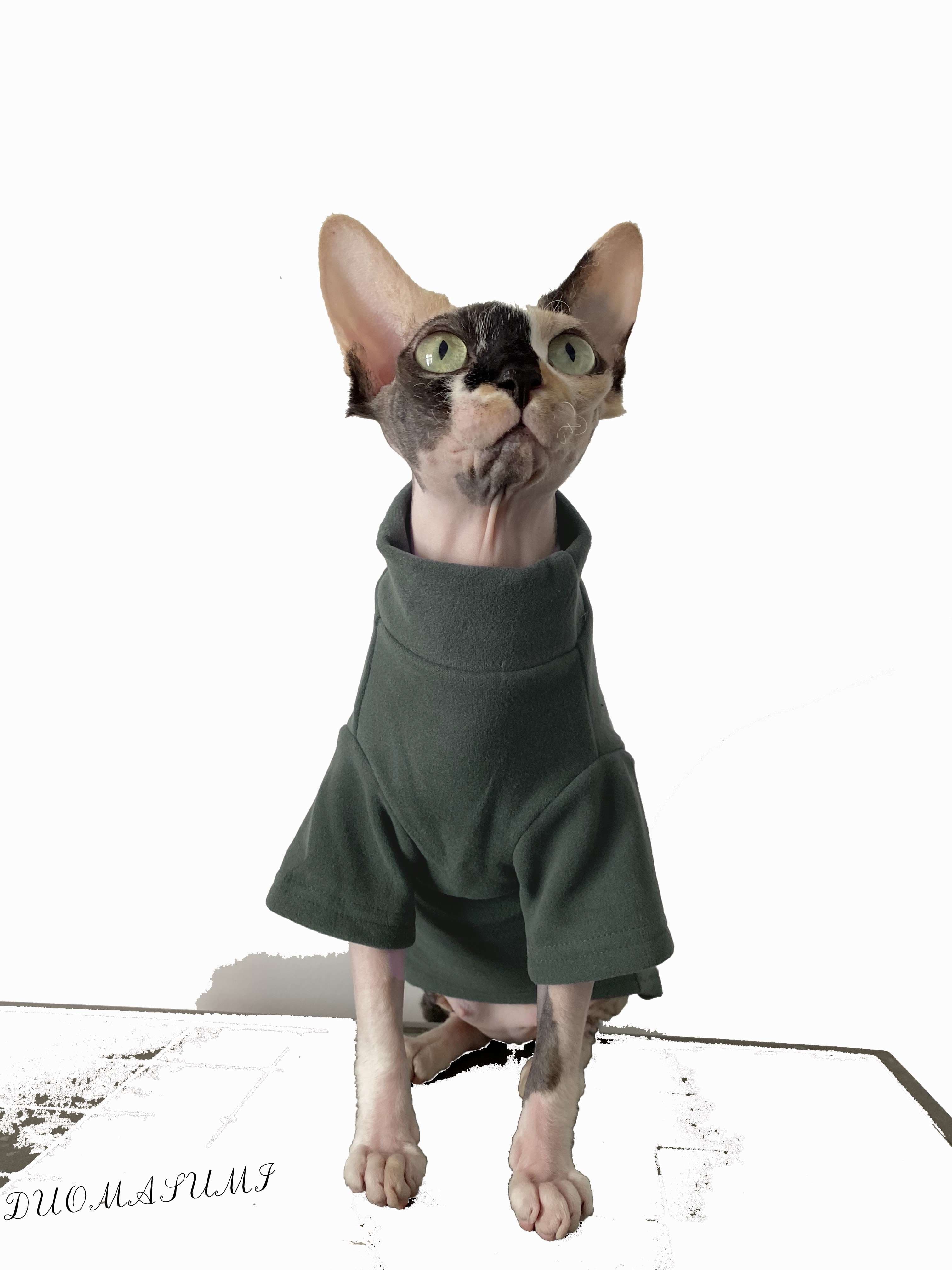 猫服  スフィンクス | スフィンクスの癒し術後服