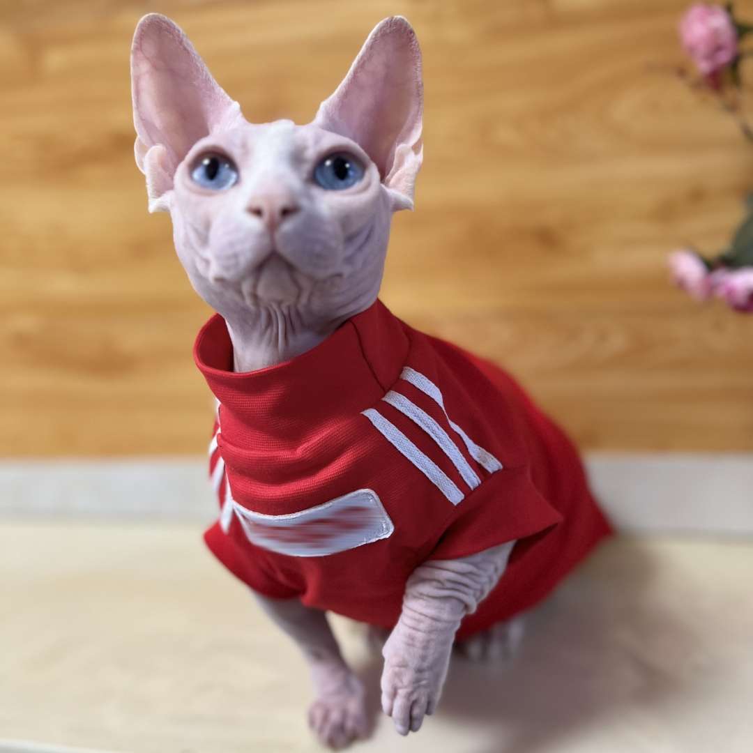 猫服  洋服 | スポーティーキャットウェア