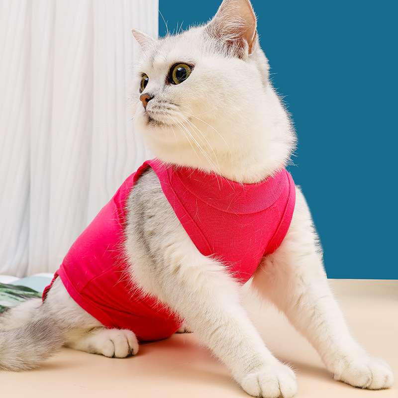猫服  術後服 | もふもふ癒しの術後ウェア