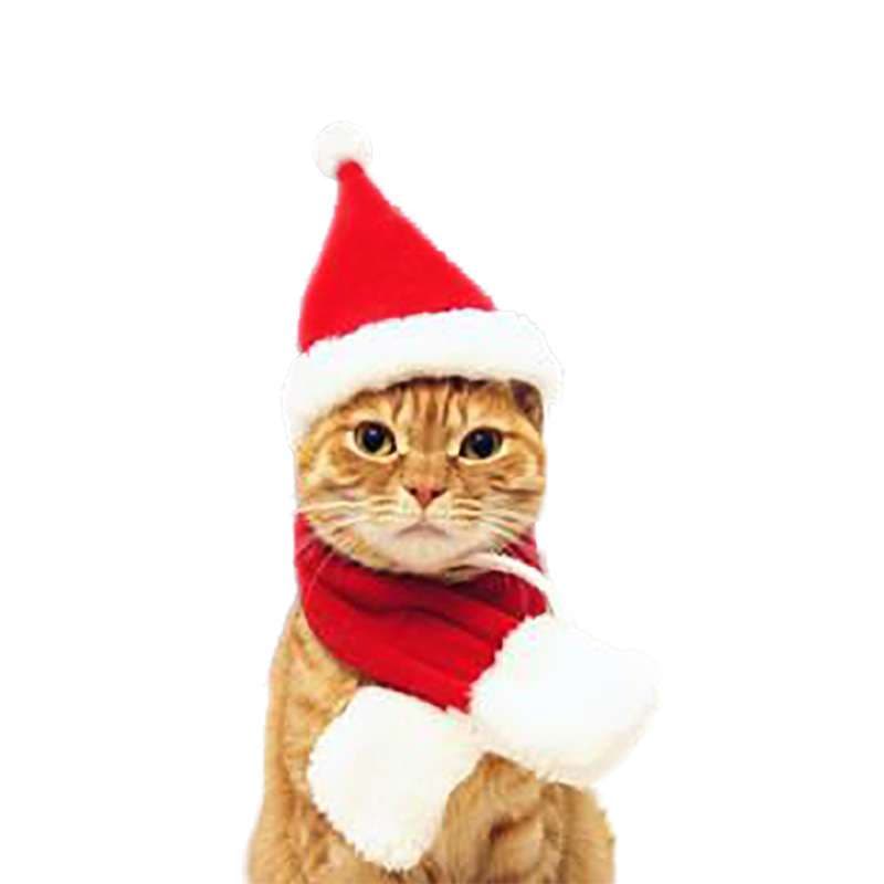 猫服  コスプレ | ねこちゃんのクリスマスコスプレ3点セット