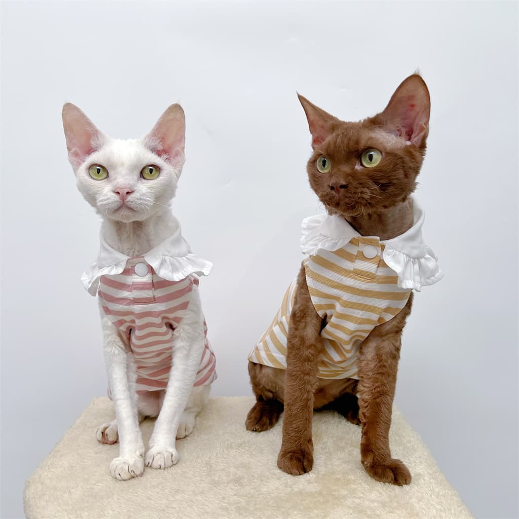 猫服  洋服 | ふんわりフリル付き縞模様ワンピース