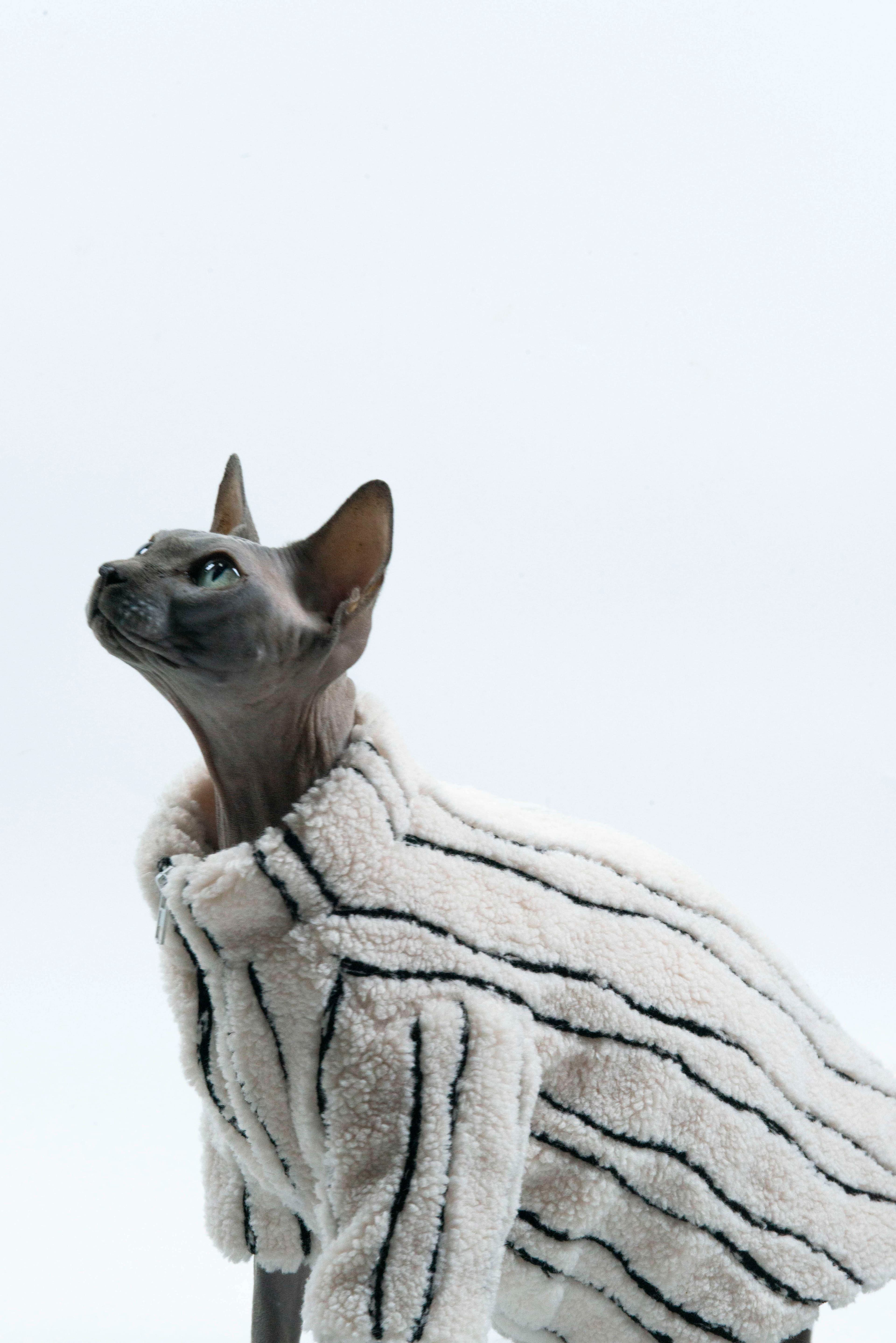 猫服  スフィンクス | スフィンクスの防寒ファーコート