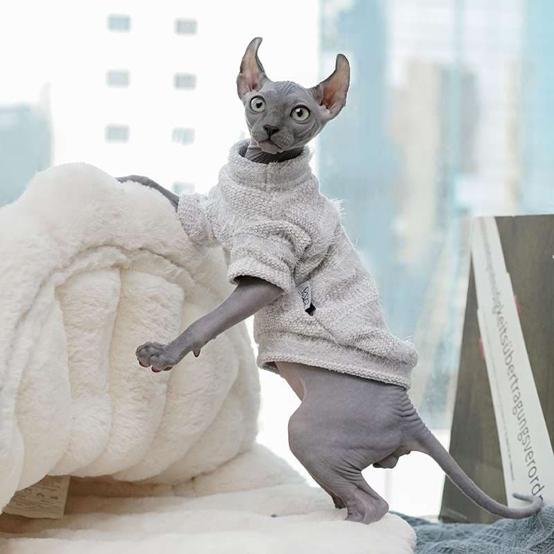 猫服  スフィンクス | もこもこシャツで暖かスフィンクス