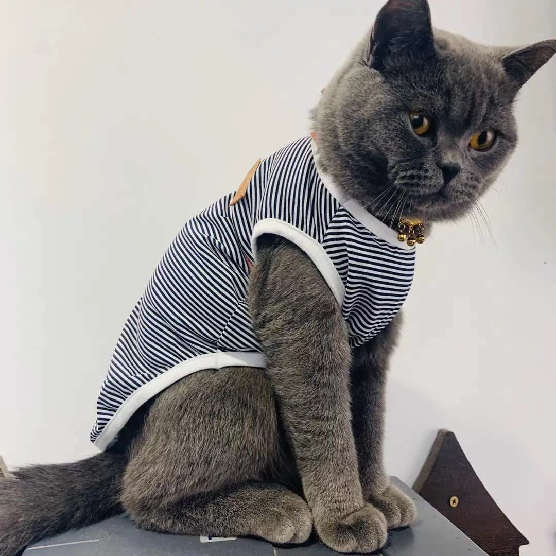 猫服  防寒服 | もふもふ猫ちゃんの縞々ベスト