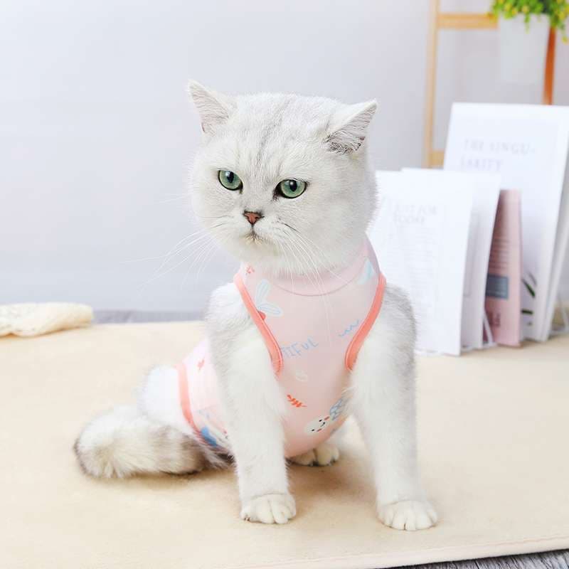 猫服  術後服 | 猫用かわいい術後服ロンパース