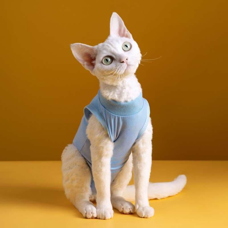 猫服  術後服 | 猫用やさしさ包む術後ウェア
