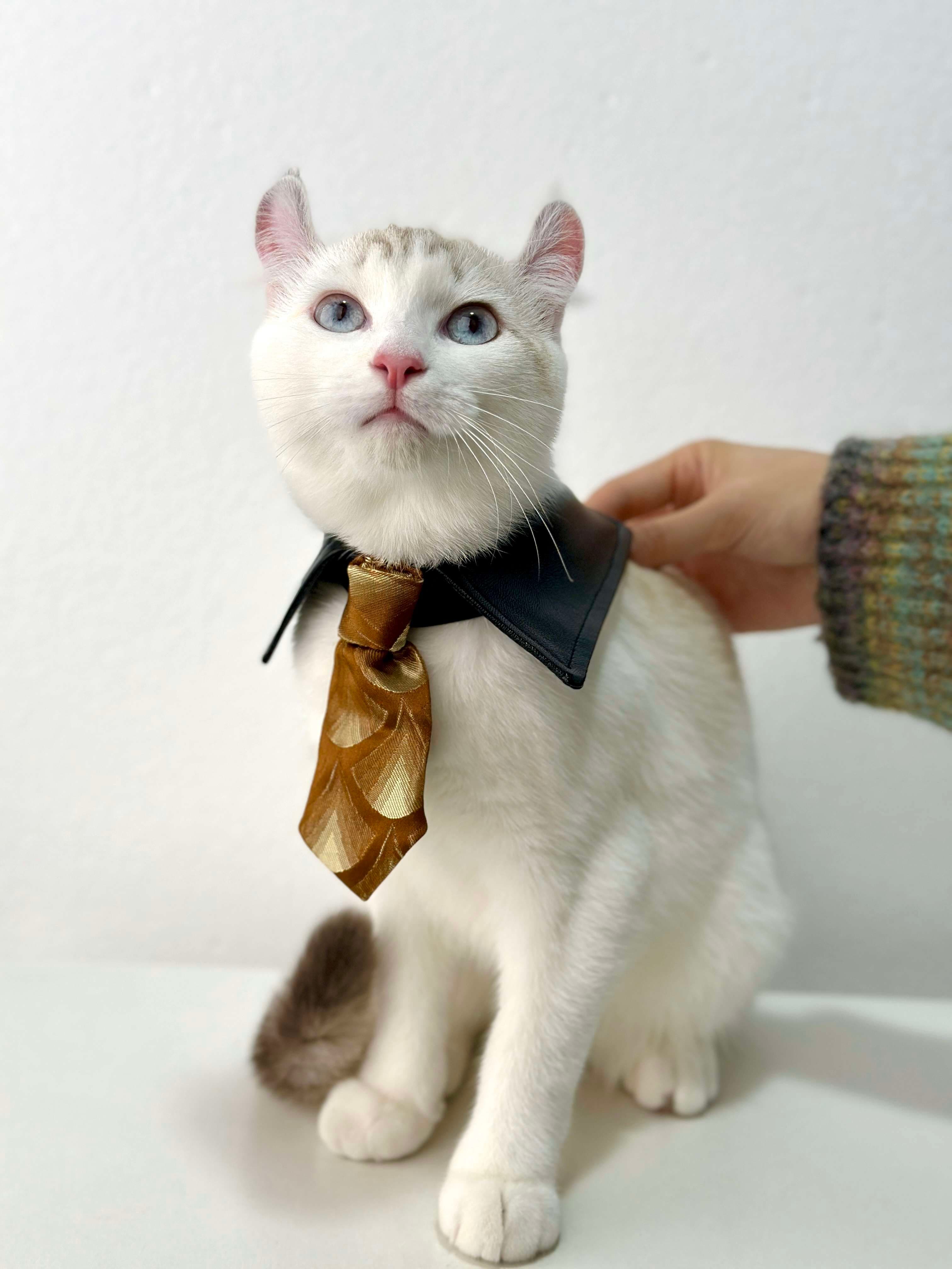 猫服  コスプレ | 猫用シャーロック・ホームズ風探偵コート