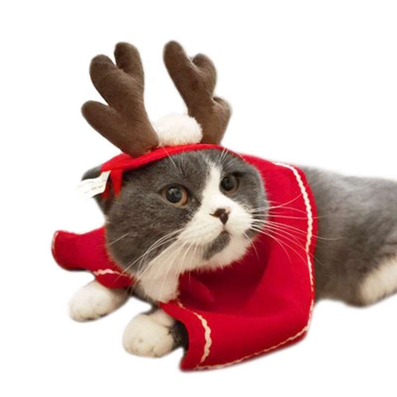 猫服  コスプレ | ねこ用クリスマス変身セット