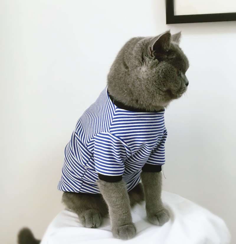 猫服 猫用マリン風ボーダー長袖シャツ