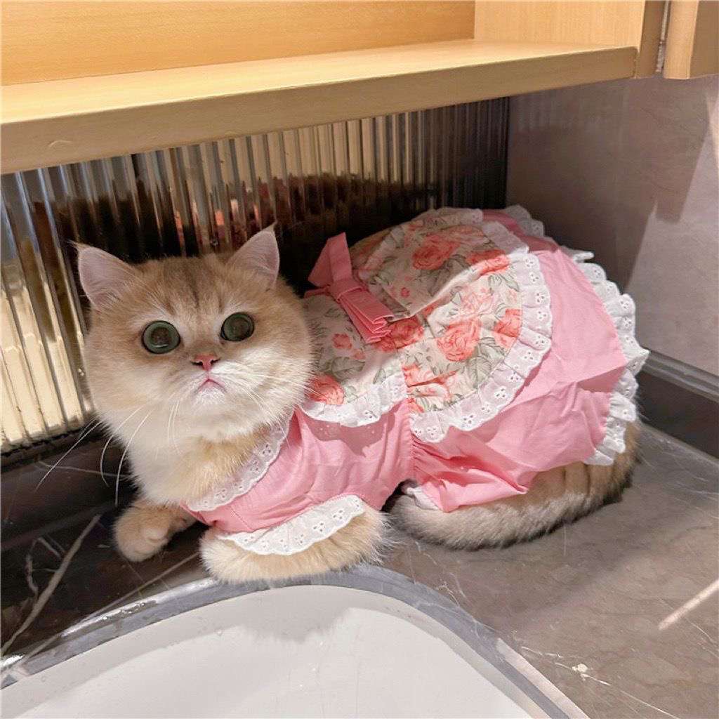 猫服  洋服 | ロココ調レース付きピンクドレス