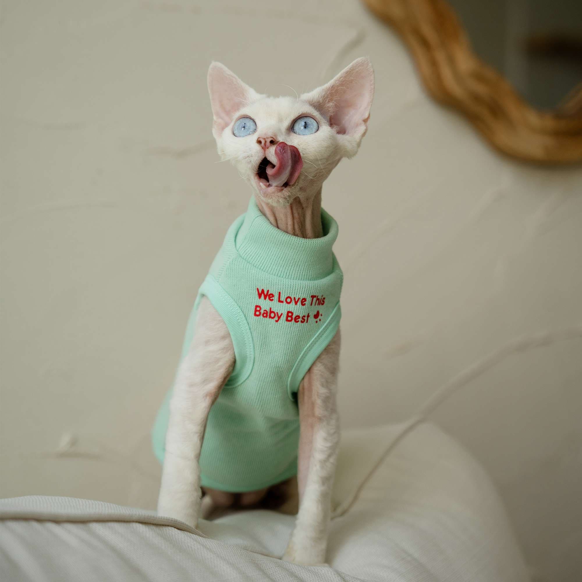 猫服  スフィンクス | スフィンクス用あったかベストウェア