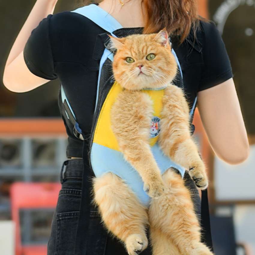 猫服  抱っこ服 | 猫用バイカラー抱っこキャリー