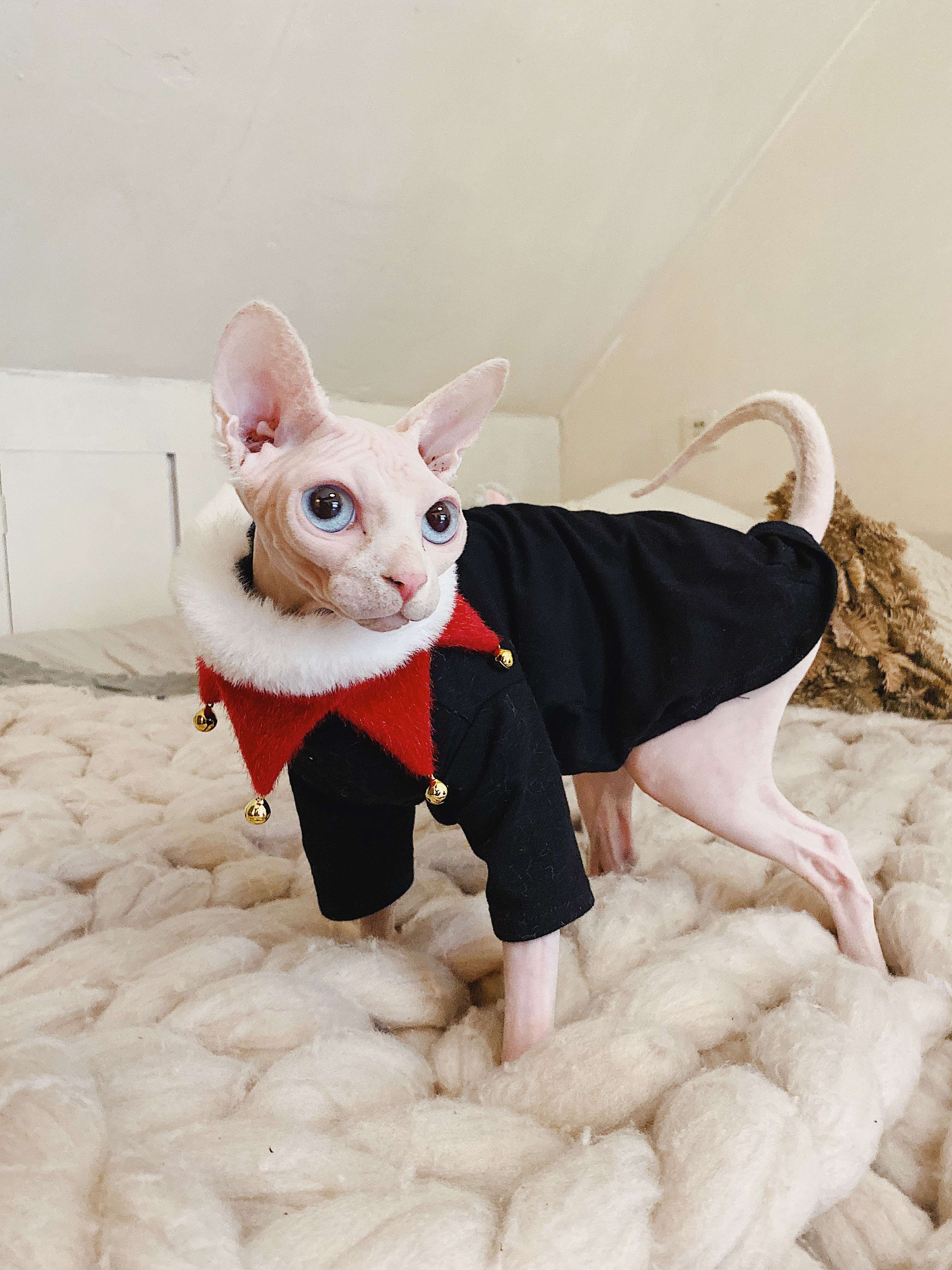 猫服  スフィンクス | スフィンクス猫用おしゃれつなぎ服