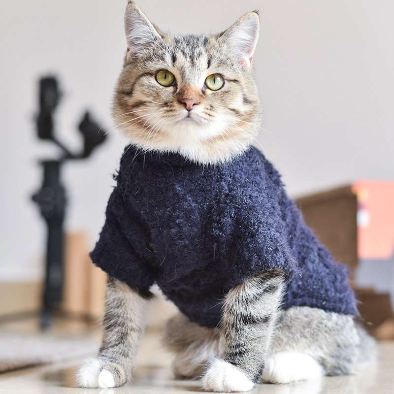 猫服  防寒服 | ねこちゃんの季節のニットウェア