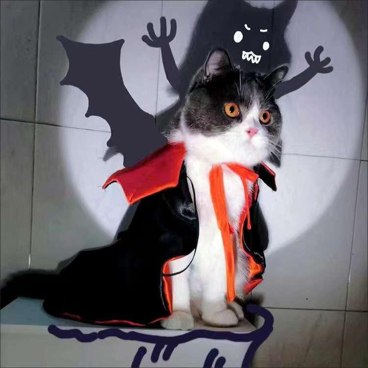 猫服  コスプレ | 吸血鬼風ペット用ハロウィン衣装