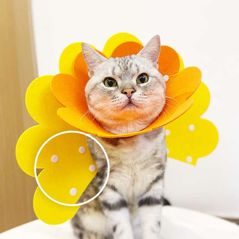 猫服 猫 エリザベスカラー | お花の首輪 ペット用かわいい装飾具
