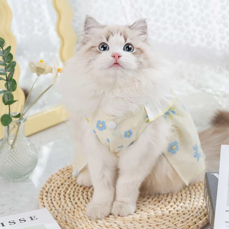 猫服  小花柄リボンワンピース
