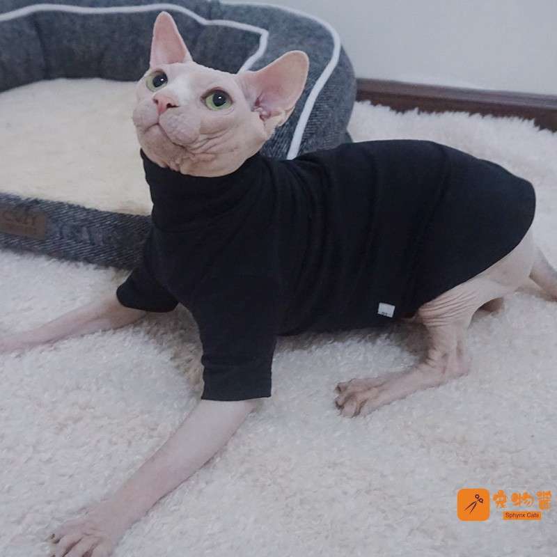 猫服  スフィンクス | スフィンクス用あったかペット服