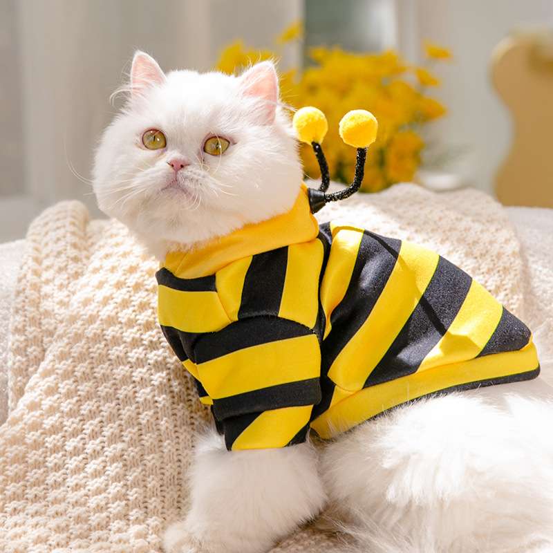 猫服  コスプレ | ゆるかわ動物なりきりパーカー