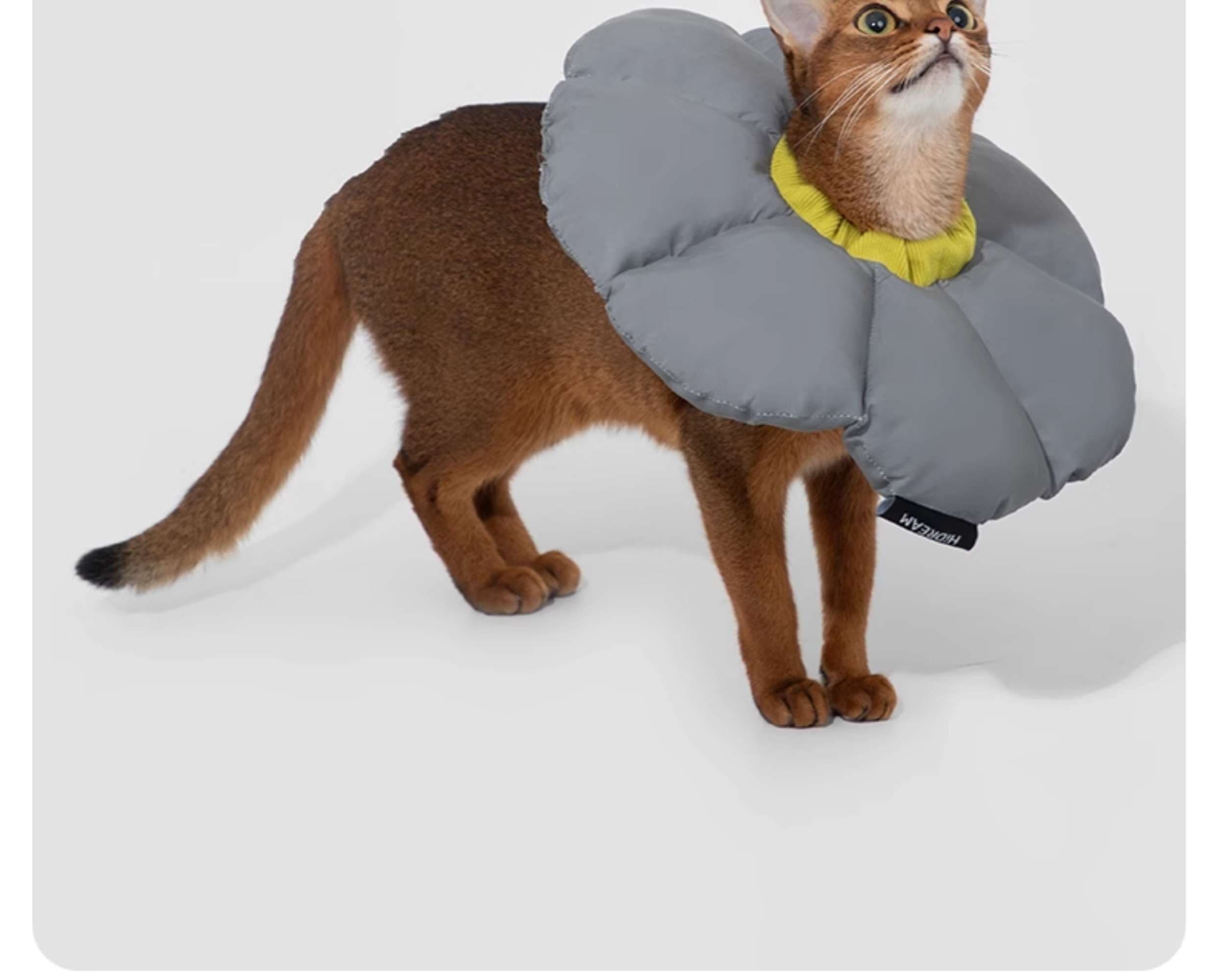 猫服 猫 エリザベスカラー | ふわもこ花びらエリザベスカラー
