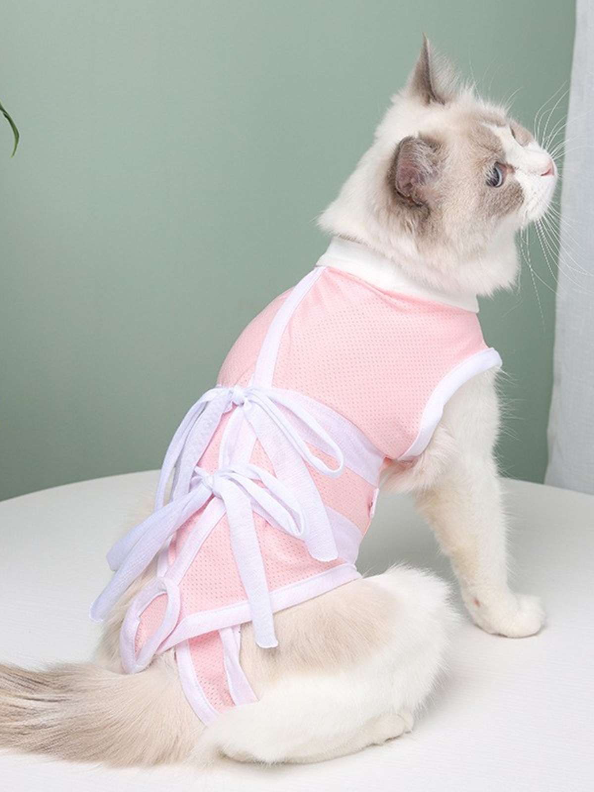猫服  術後服 | やわらか術後ウェア 猫用リボン付き