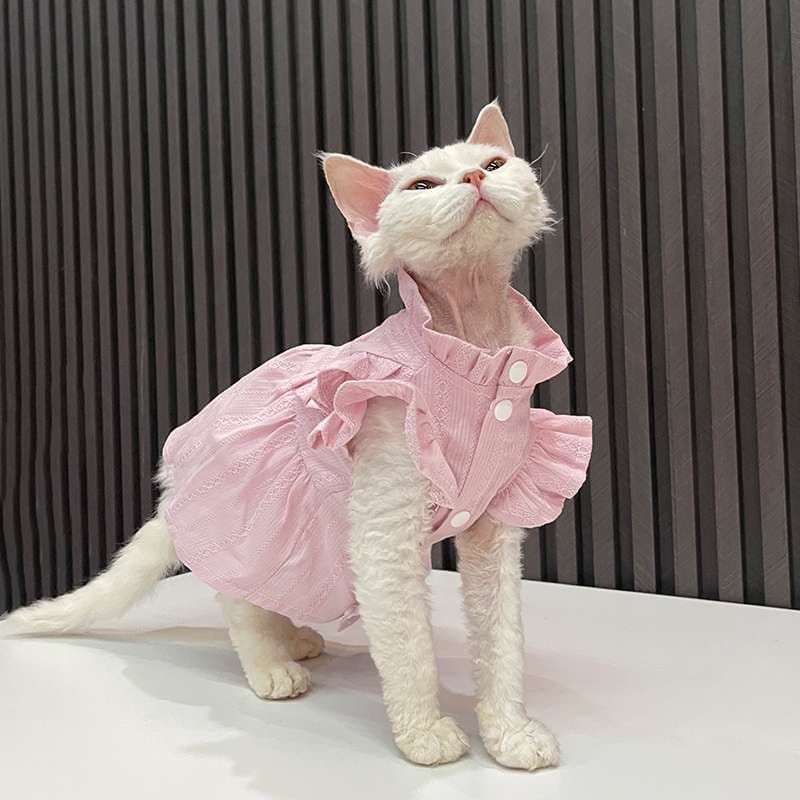 猫服  洋服 | ふんわりフリルワンピース