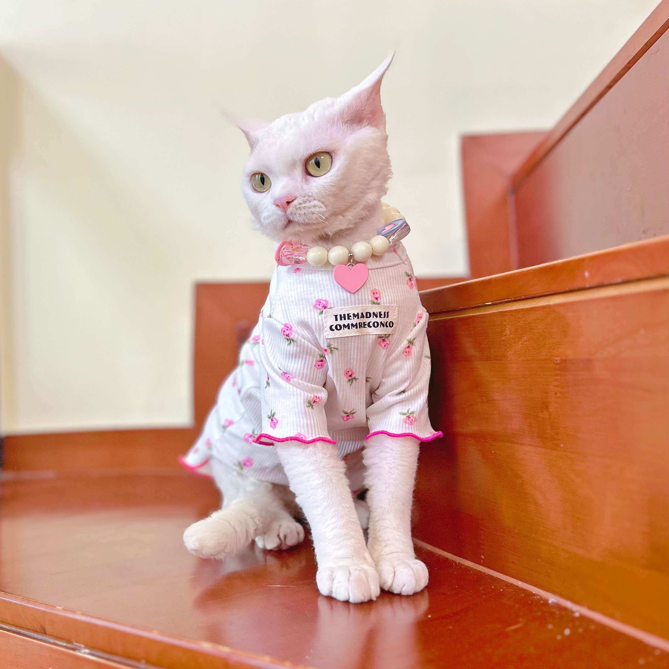 猫服  洋服 | 小花柄キャットパジャマ