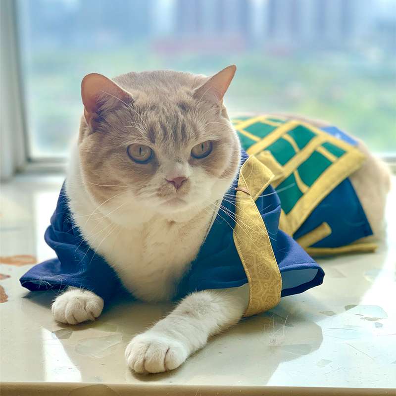 猫服  コスプレ | おしゃれな和風のコスプレ！侍スタイルに大変身！