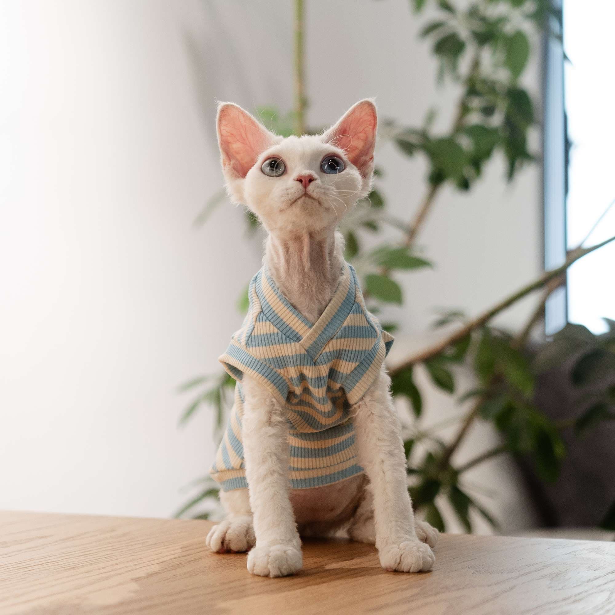 猫服  洋服 | 猫用やわらかリブニットウェア