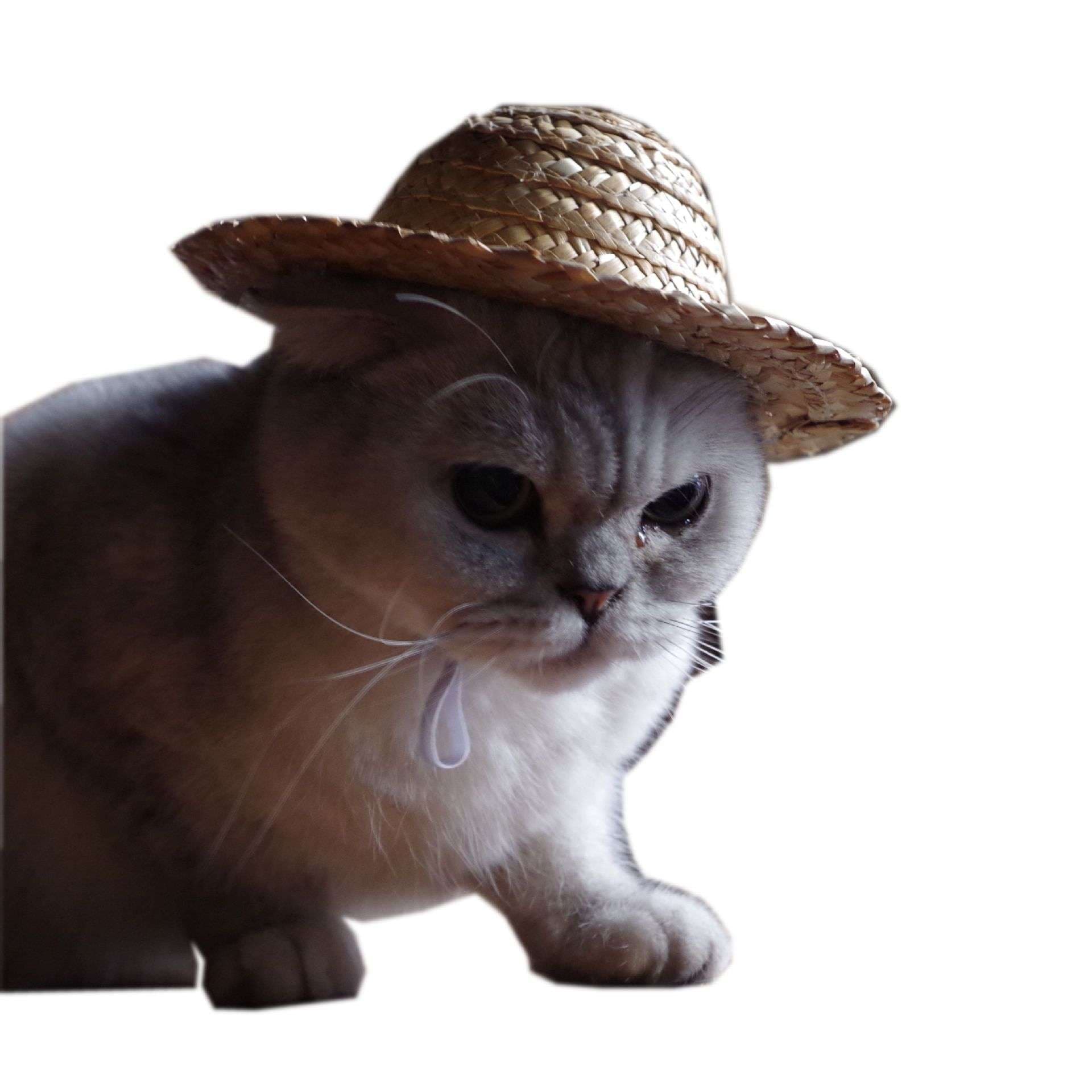 猫服  帽子 | 農園の麦わら帽子
