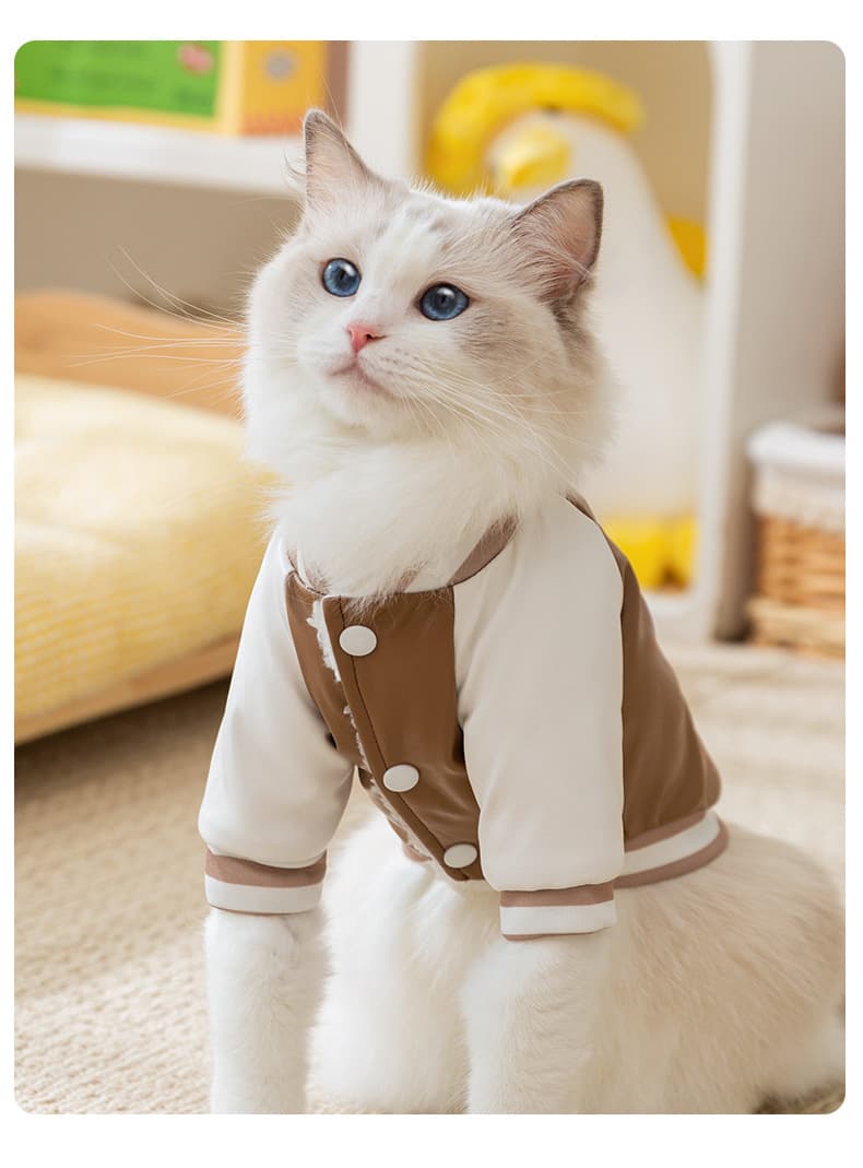 猫服洋服 くまちゃんプリントスタジャン