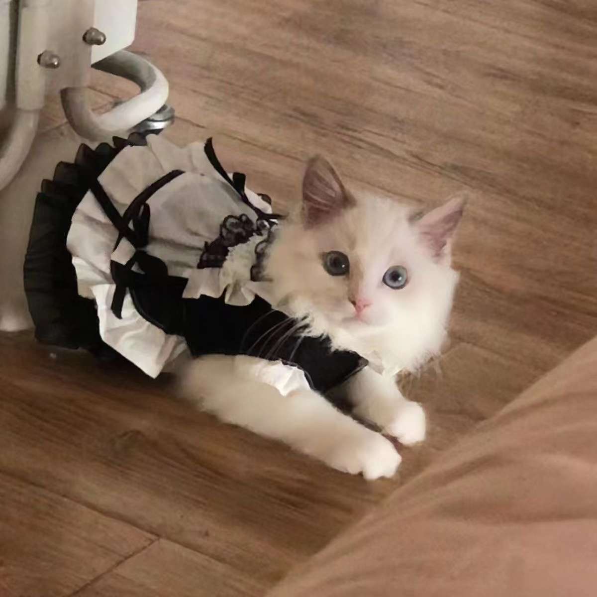 猫服  コスプレ | メイド風フリルワンピース