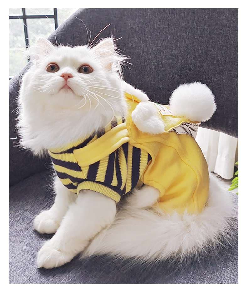 猫服  コスプレ | ミツバチ風ペット用コスチューム