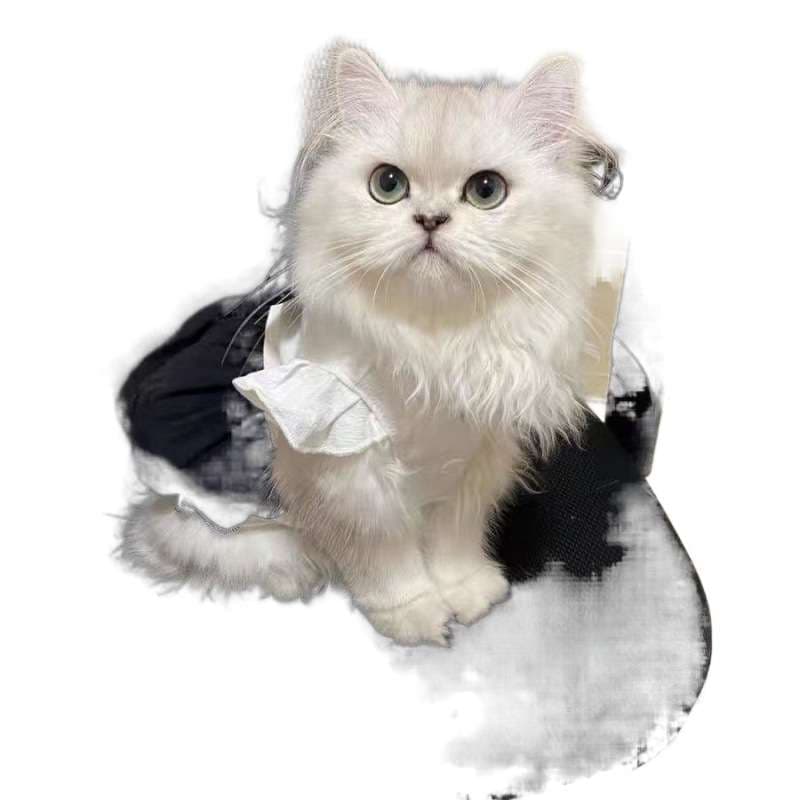 猫服  コスプレ | 執事風メイド服キャットウェア