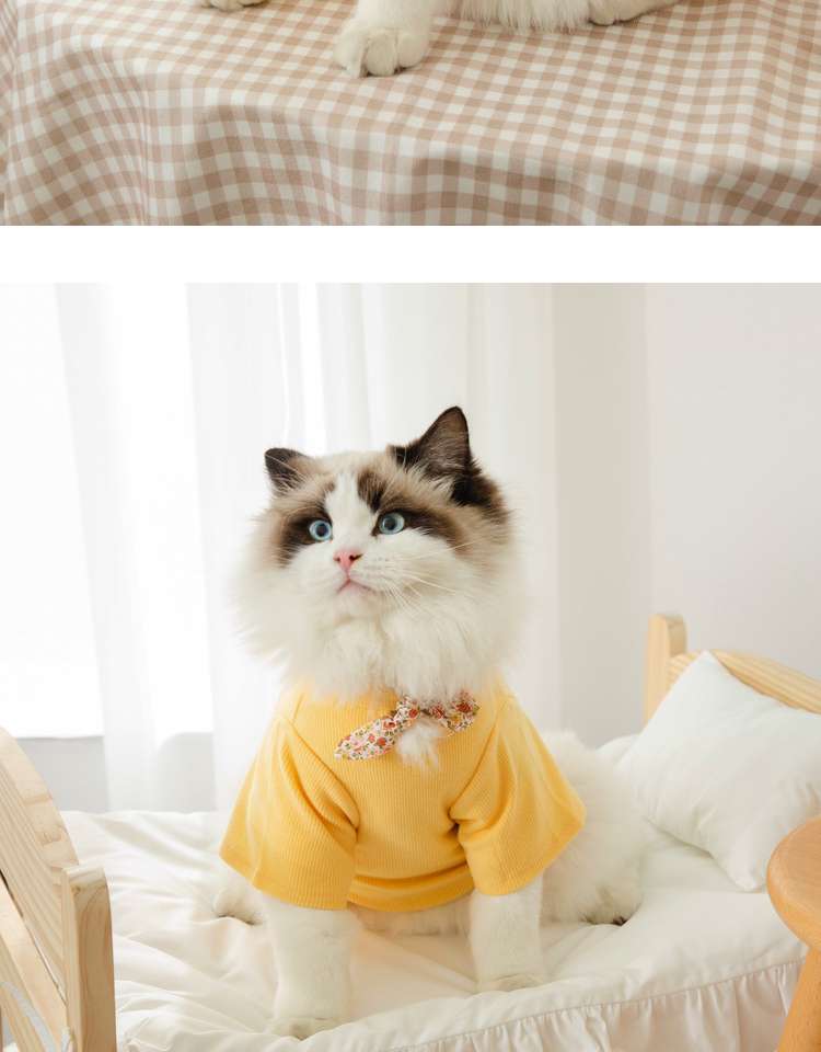 猫服  洋服 | ふわもこ猫ちゃんの季節のお洒落トップス