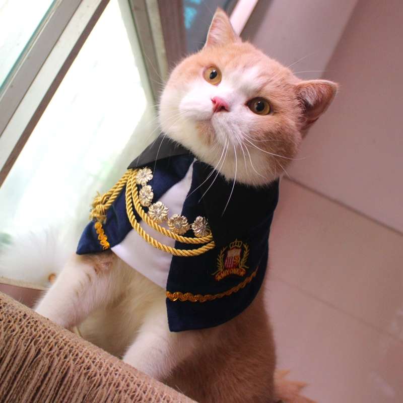 猫服  コスプレ | 猫用大正ロマン風着物セット