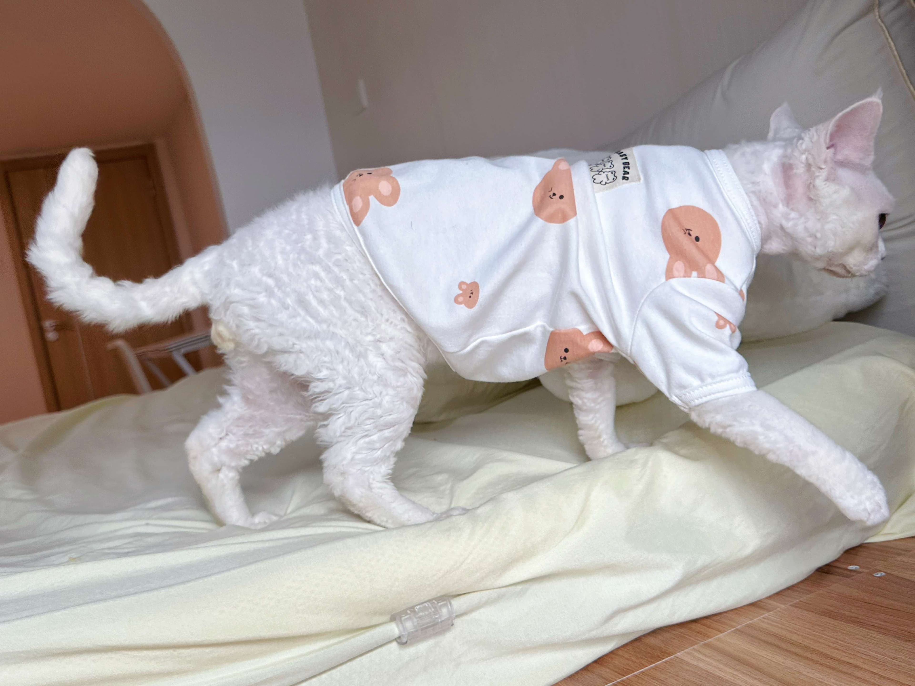 猫服  スフィンクス | もふもふスフィンクス着ぐるみ