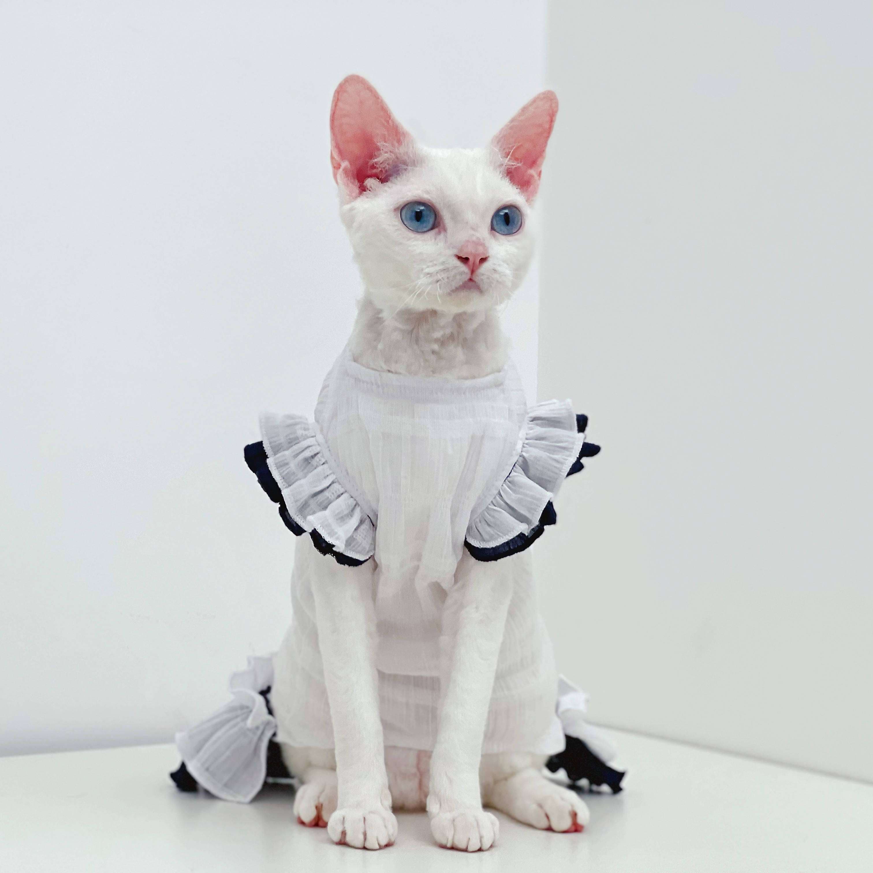 猫服 猫 エリザベスカラー | ふりふりメイド風エリザベスカラー