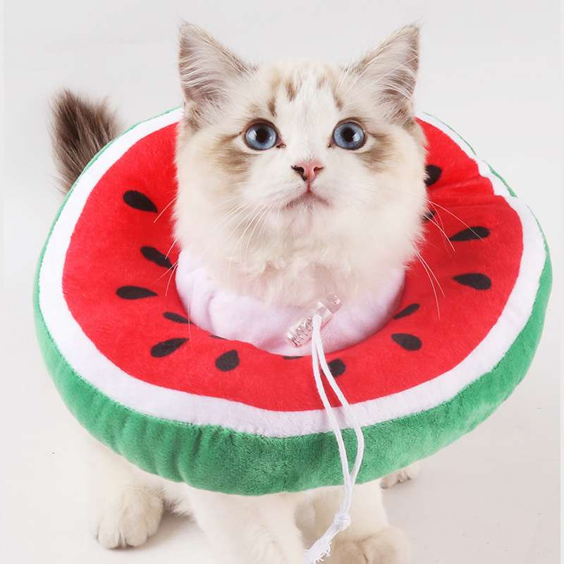 猫服 猫 エリザベスカラー | フルーツ風エリザベスカラー