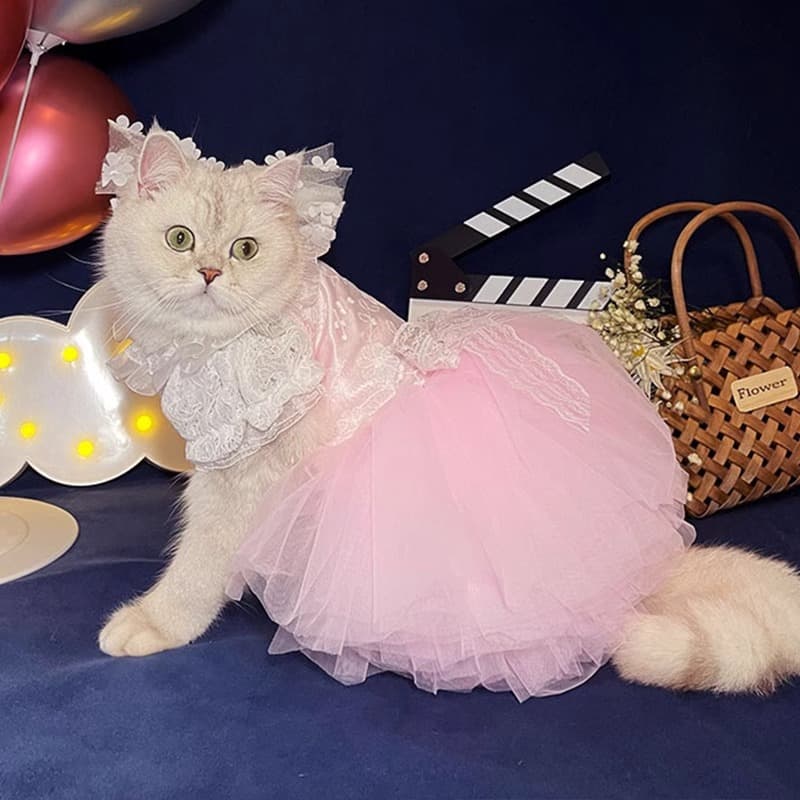 猫服  レース付きチュールドレス