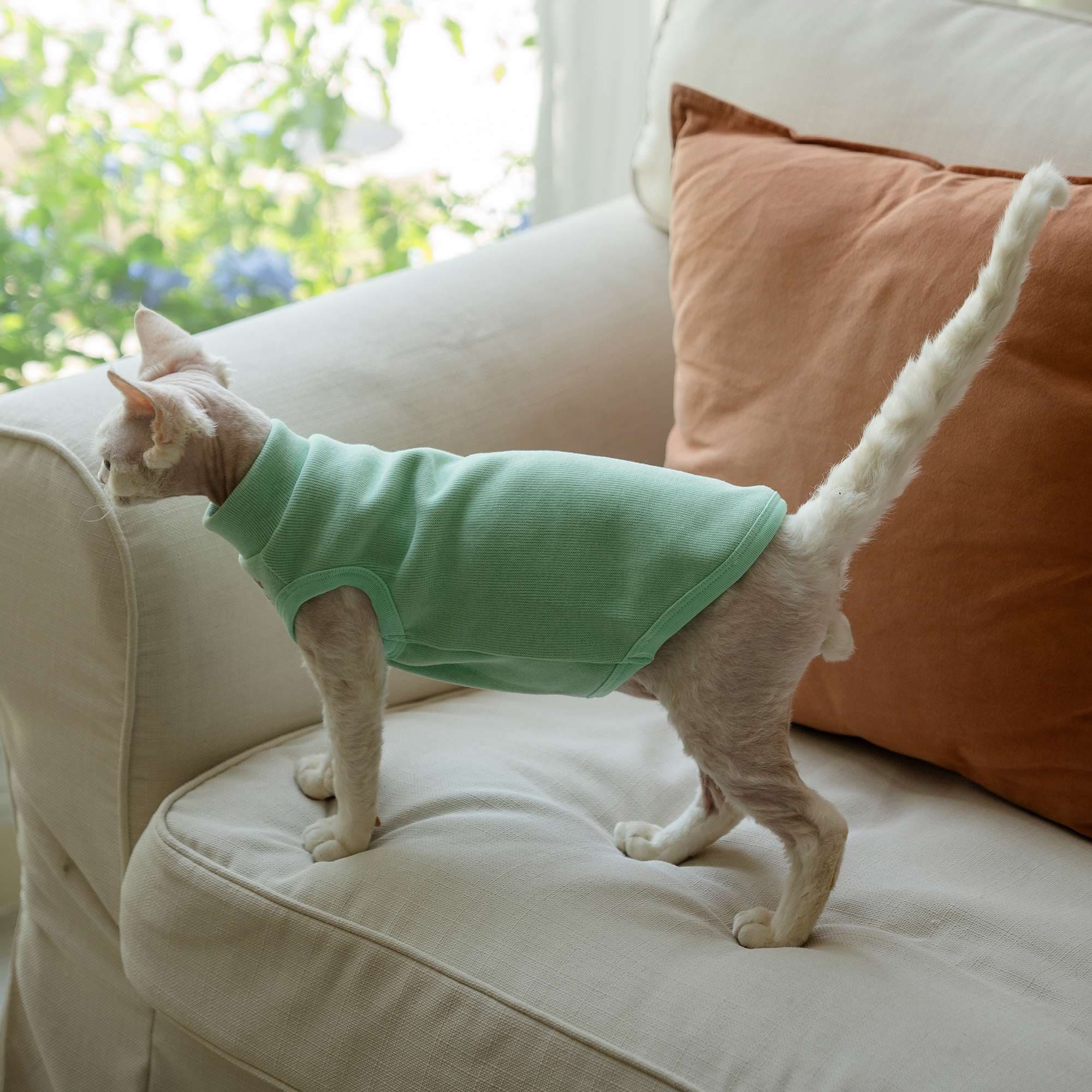 猫服  スフィンクス | スフィンクス用あったかベストウェア