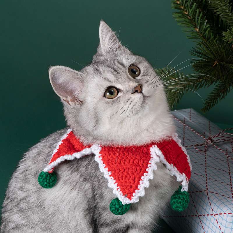 猫服  首輪 | ねこさんのクリスマスえりまき