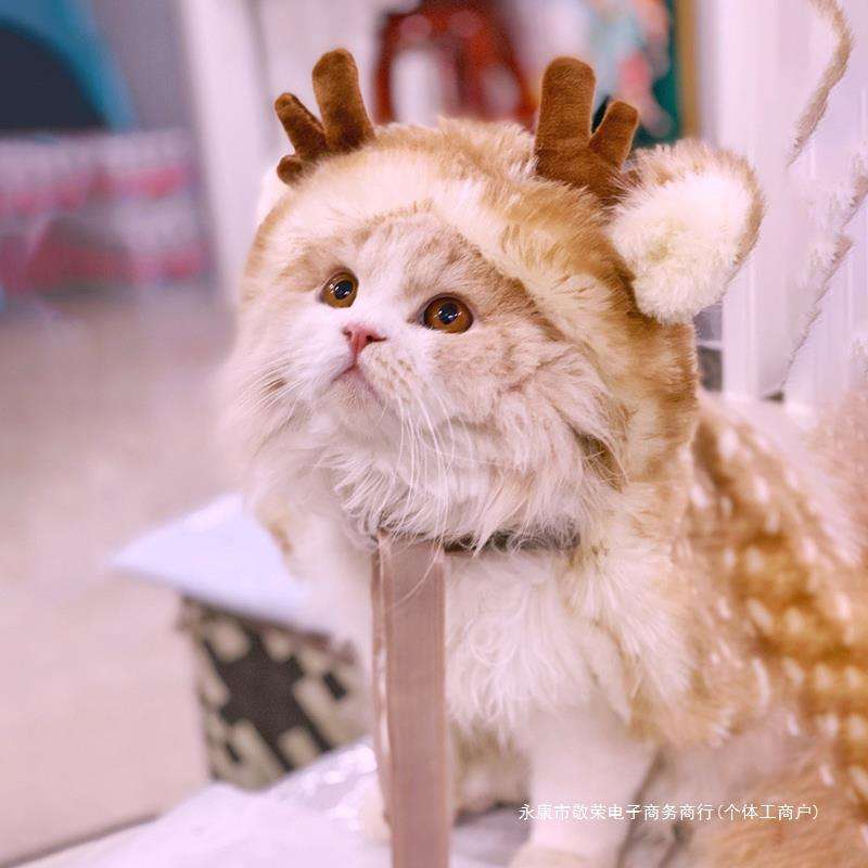 猫服  コスプレ | もこもこトナカイ変身ペット服