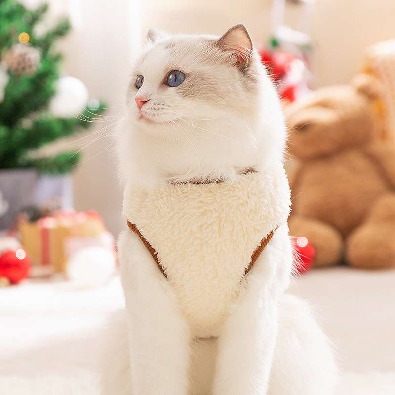猫服  防寒服 | もふもふ冬ねこパーカー