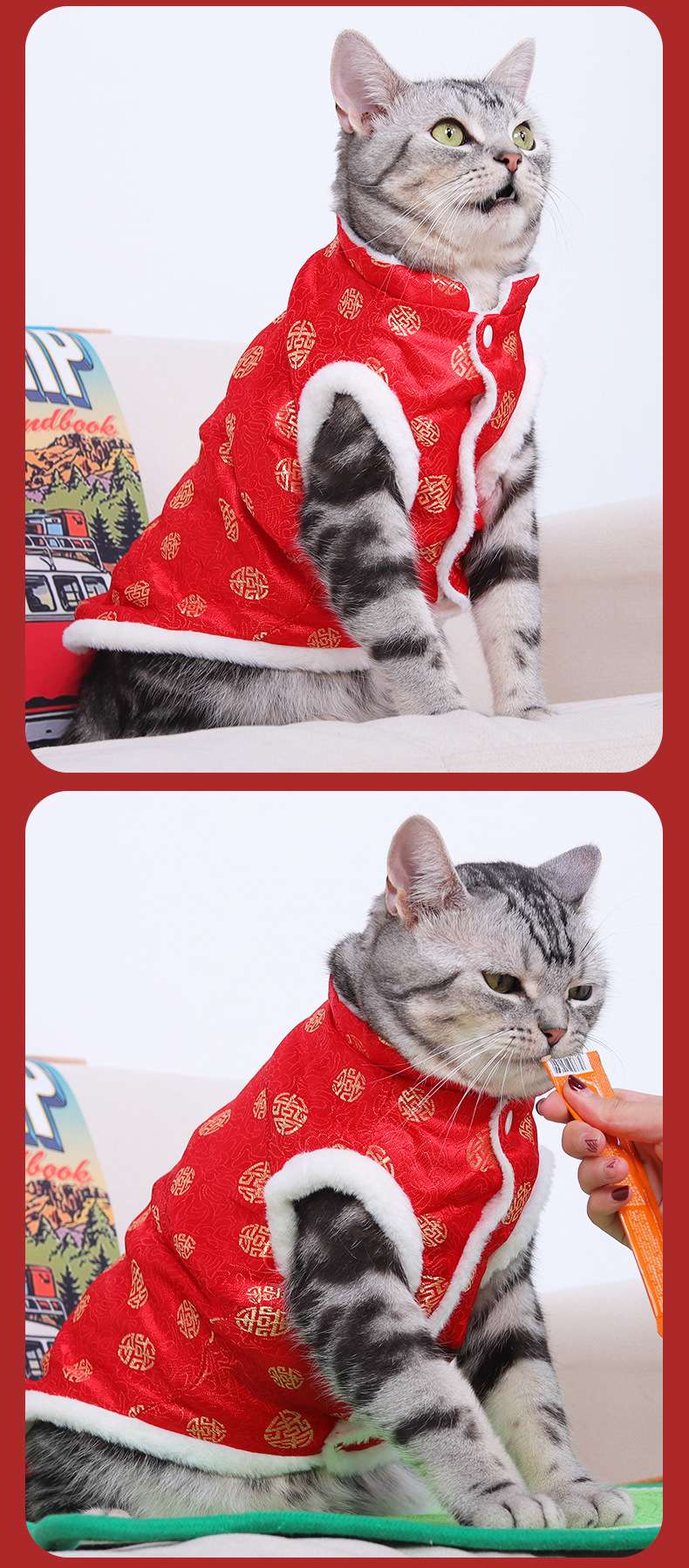 猫服  防寒服 | 福々招き猫のお正月マント