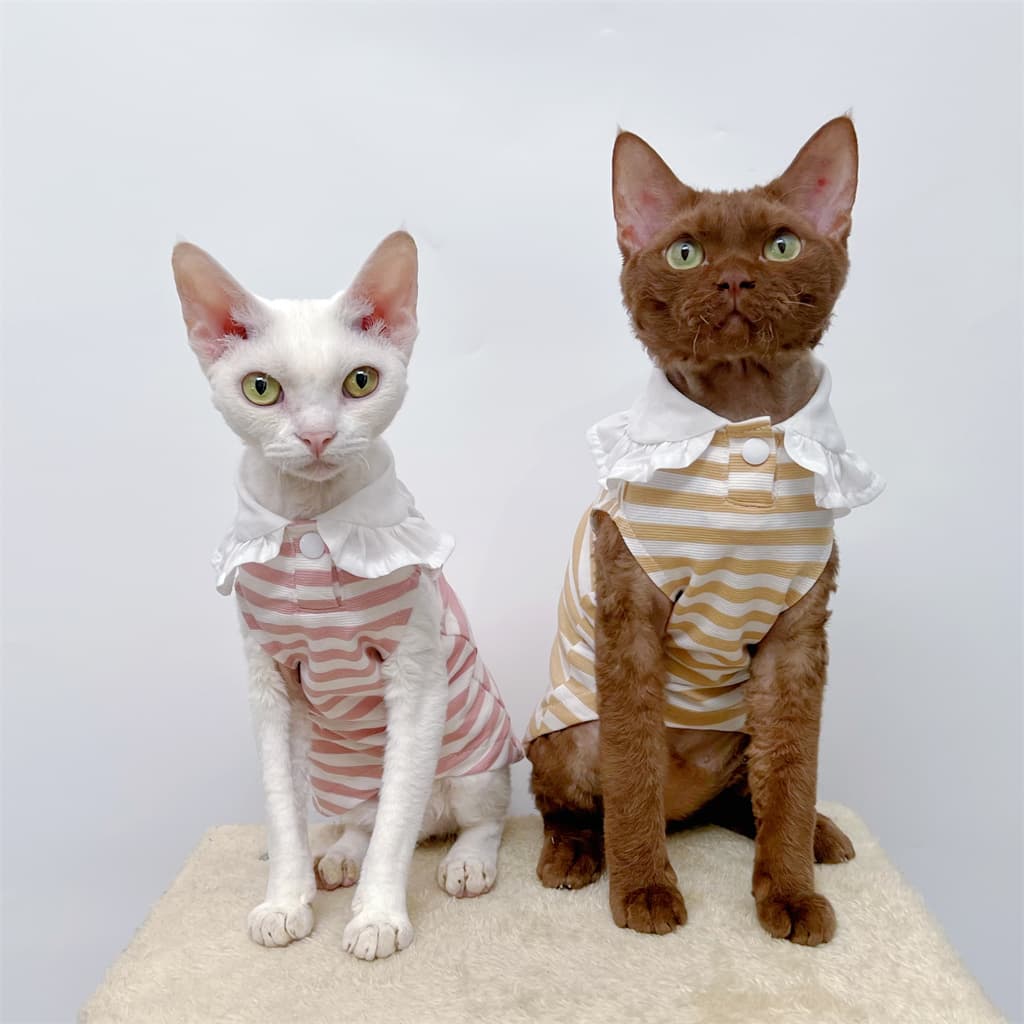 猫服  洋服 | ふんわりフリル付き縞模様ワンピース