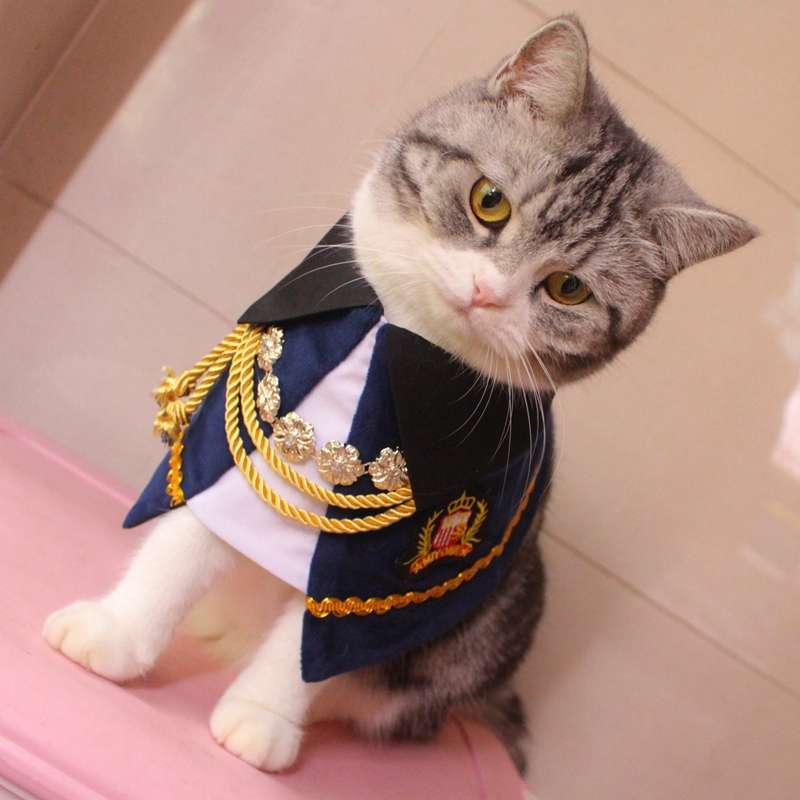 猫服  コスプレ | 猫用大正ロマン風着物セット