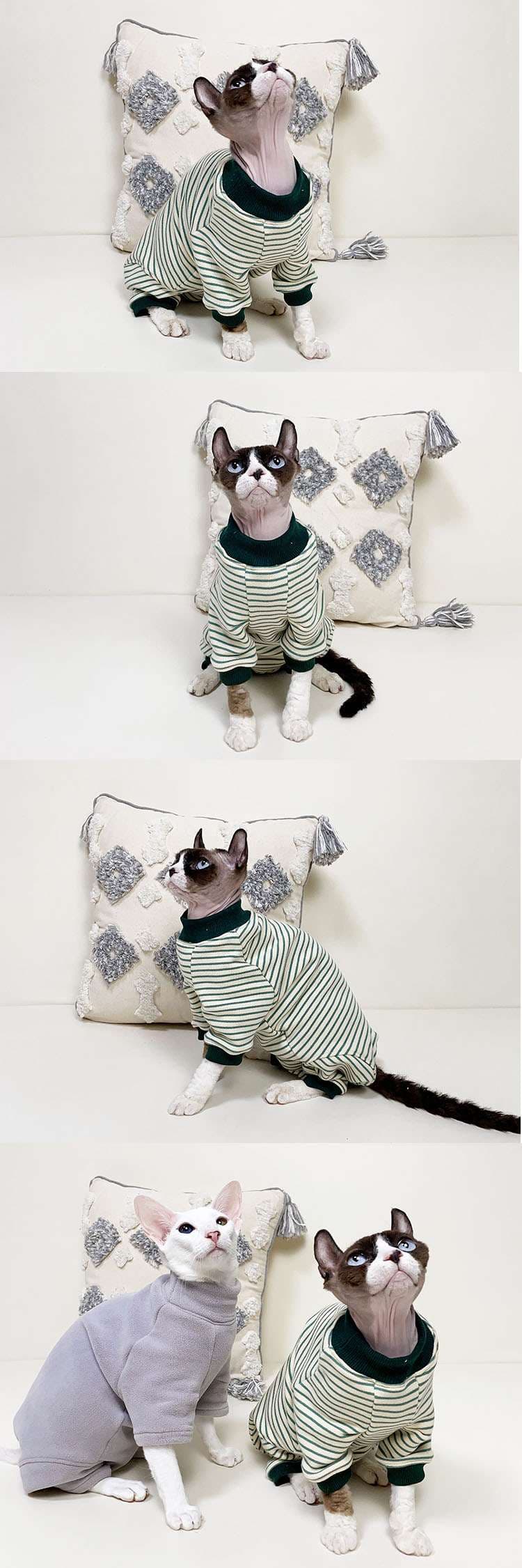 猫服  術後服 | スタイリッシュな猫用術後服セット