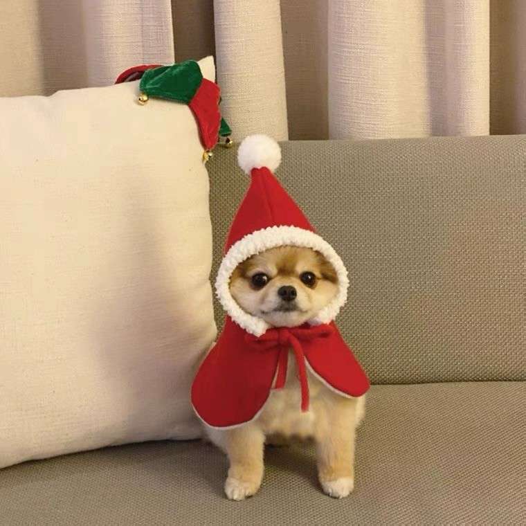 猫服  コスプレ | クリスマスツリー風キャットコスチューム